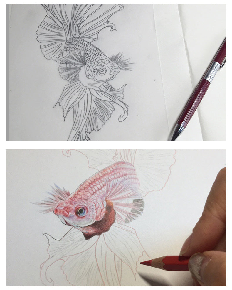 Transfer Tracing Paper for Students